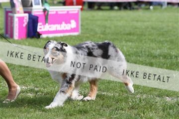 134871_ms_04_IMG_1278.JPG