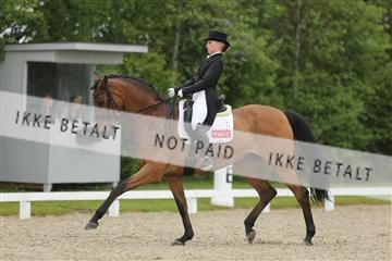 139835_sg_02_IMG_8729.JPG