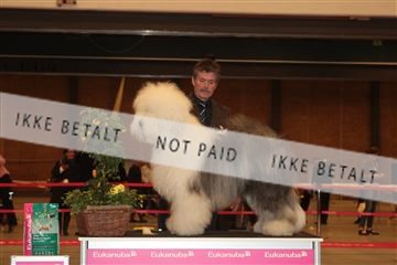 124188 _tl_02_IMG_9305.JPG