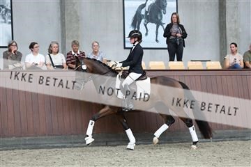 181852_mtp_05_R62_3199.JPG