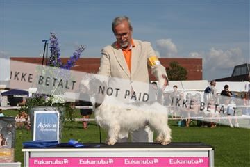 130370_se_03_IMG_7893.JPG