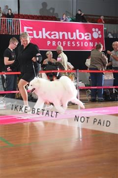 6068_ma_05_IMG_5922.JPG