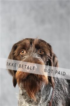 128239_le_ 06_0031.JPG