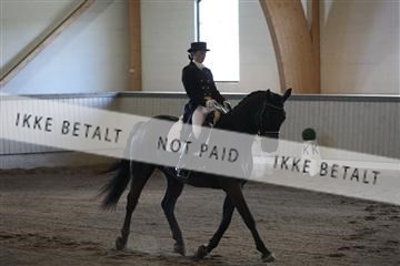139267_kl_1_8M1Q6802.JPG