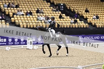182194_kbb_03_Z099796.JPG