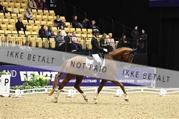 182194_kbb_03_Z090874.JPG
