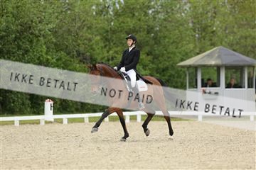 139835_sg_01_IMG_7814.JPG