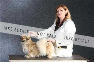 132082_le_ 01_IMG_1480.JPG