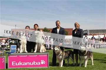 130370_se_02_IMG_6330.JPG