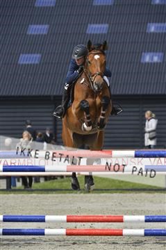 139644_abo_01__AB13840.JPG