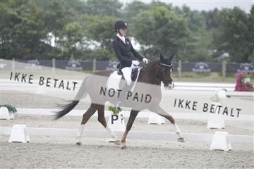 166078_rhj_01__J7R4171.JPG