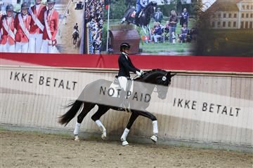 181887_mtp_05_R62_9820.JPG