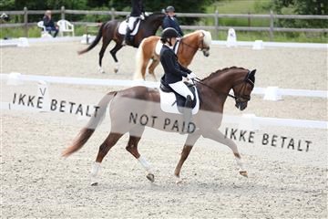 172030_mtp_01_3M5A1937.JPG