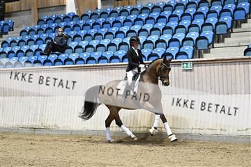 182241_kbb_01_Z092997.JPG