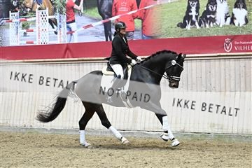 182241_kbb_01_Z093944.JPG