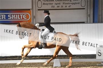 139422_bc_05__BC26327.JPG