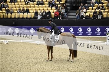 182194_kbb_02_Z098602.JPG