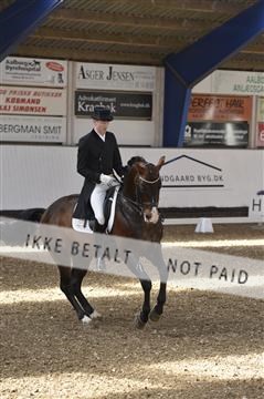 139422_bc_03__BC25851.JPG