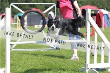130370_tl_02_IMG_7753.JPG