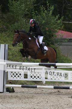 5350_sme _01_IMG_4420.JPG