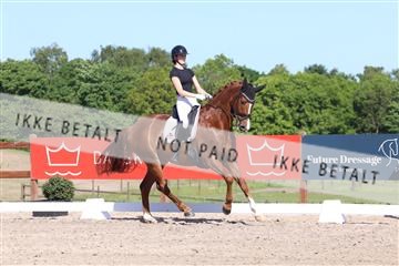 181449_bc_01R62_5960.JPG
