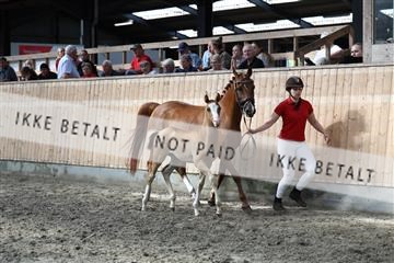 181757_avh_01_8075.JPG