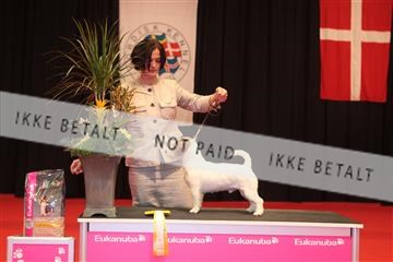 126827_tl_04_IMG_9964.JPG
