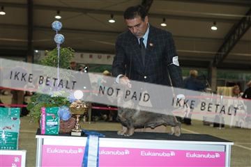 126168_jbr_02_IMG_7829.JPG