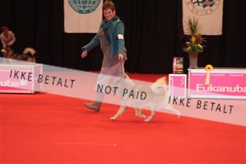 126827_tl_04_IMG_0014.JPG