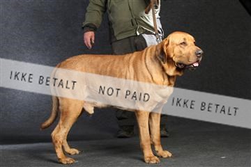 132082_le_ 01_IMG_0143.JPG