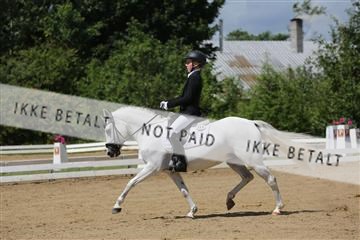 156196_nn_01_IMG_6028.JPG