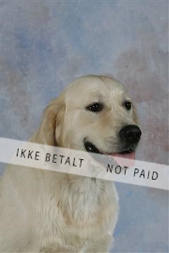 5493_sme _03__MG_9856.JPG