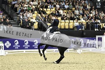 182194_kbb_03_Z092679.JPG