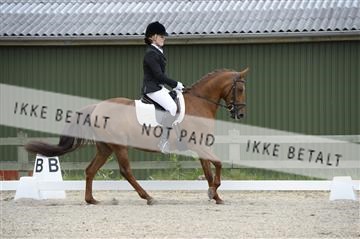 139898_ms_01__MS27581.JPG