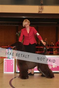 124188 _tl_02_IMG_9683.JPG