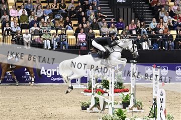 182194_kbb_02_Z099453.JPG