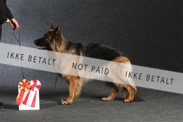 132082_le_ 01_IMG_1611.JPG