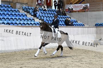 182241_kbb_01_Z093286.JPG