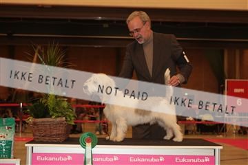 124188 _tl_02_IMG_9626.JPG