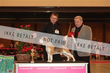 124188 _tl_02_IMG_9635.JPG