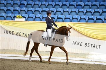 139403_ms_01__MS17775.JPG