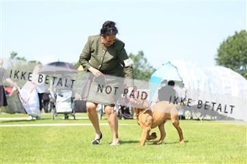 181564_rin_01_R62_7646.JPG