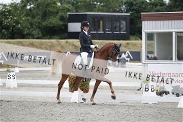 166078_rhj_01__J7R4571.JPG
