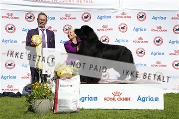 181564_ch_01__62_0357.JPG