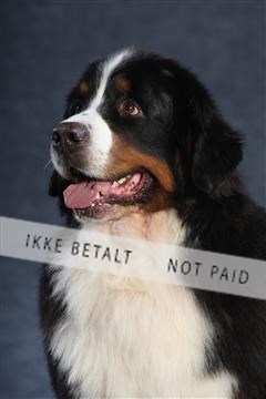 132082_le_ 01_IMG_0877.JPG