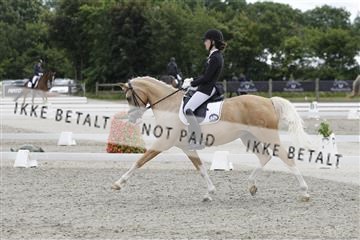 166078_rhj_01__J7R2836.JPG