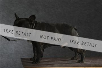 132082_le_ 01_IMG_1519.JPG