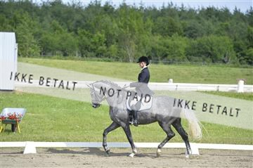 140040_abo_01__AB17316.JPG