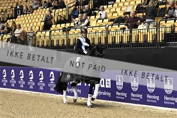 182194_kbb_03_Z091024.JPG