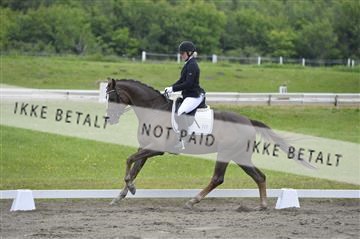 140040_abo_01__AB16622.JPG